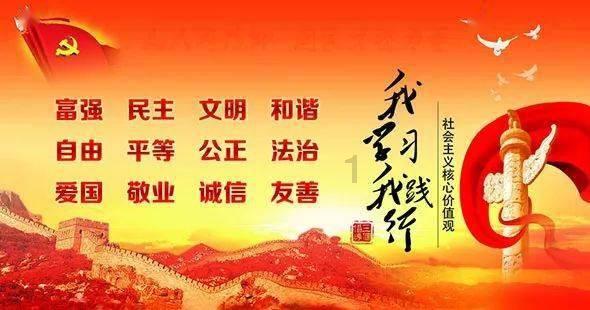 植物大战僵尸17